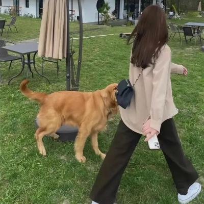 红袍与黑幕